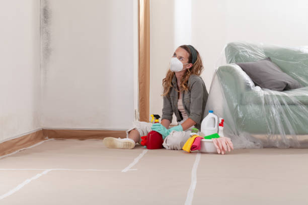 Reliable Crawl Space Mold Removal contractor in Winter Garden, FL by WQB Mold Removal